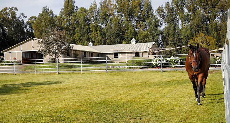 5951 Old Balcom Canyon Road, Somis, CA 93066